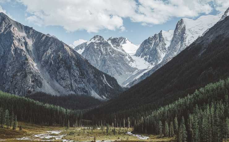 中国足球队冲击2026世界杯：征程与展望
